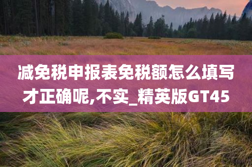 减免税申报表免税额怎么填写才正确呢,不实_精英版GT45