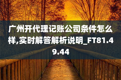 广州开代理记账公司条件怎么样,实时解答解析说明_FT81.49.44