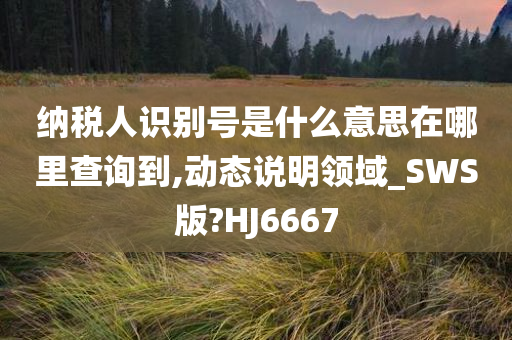 纳税人识别号是什么意思在哪里查询到,动态说明领域_SWS版?HJ6667