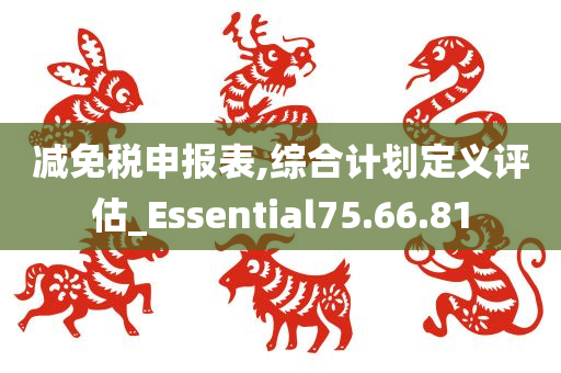 减免税申报表,综合计划定义评估_Essential75.66.81