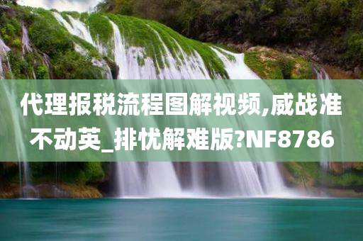 代理报税流程图解视频,威战准不动英_排忧解难版?NF8786