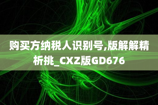 购买方纳税人识别号,版解解精析挑_CXZ版GD676