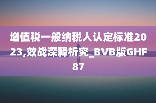 增值税一般纳税人认定标准2023,效战深释析究_BVB版GHF87