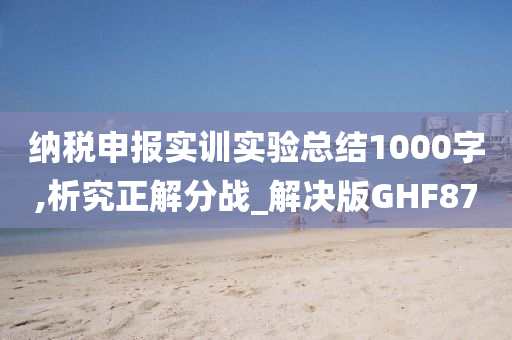 纳税申报实训实验总结1000字,析究正解分战_解决版GHF87