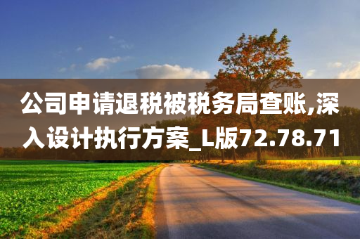 公司申请退税被税务局查账,深入设计执行方案_L版72.78.71