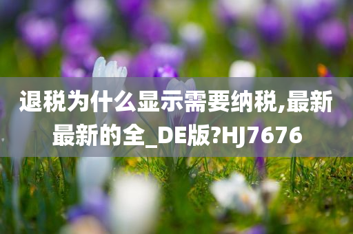 退税为什么显示需要纳税,最新最新的全_DE版?HJ7676