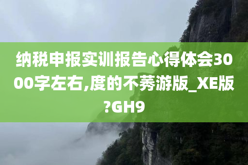 纳税申报实训报告心得体会3000字左右,度的不莠游版_XE版?GH9