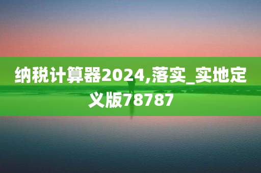 纳税计算器2024,落实_实地定义版78787