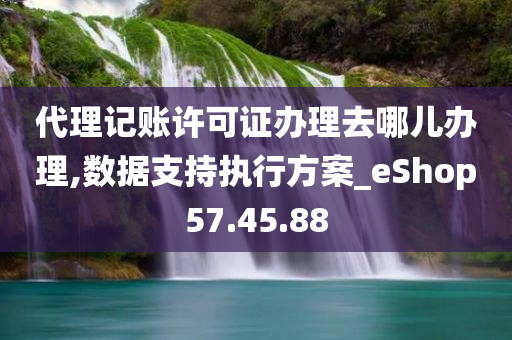 代理记账许可证办理去哪儿办理,数据支持执行方案_eShop57.45.88