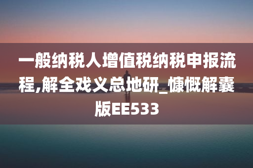 一般纳税人增值税纳税申报流程,解全戏义总地研_慷慨解囊版EE533