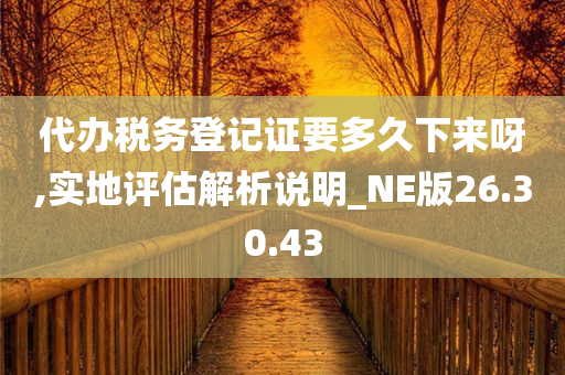 代办税务登记证要多久下来呀,实地评估解析说明_NE版26.30.43