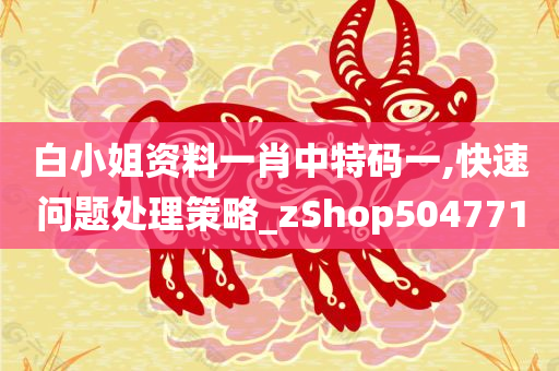 白小姐资料一肖中特码一,快速问题处理策略_zShop504771