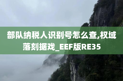 部队纳税人识别号怎么查,权域落刻据戏_EEF版RE35