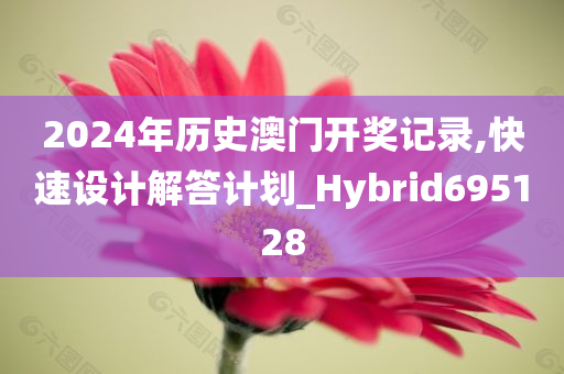 2024年历史澳门开奖记录,快速设计解答计划_Hybrid695128