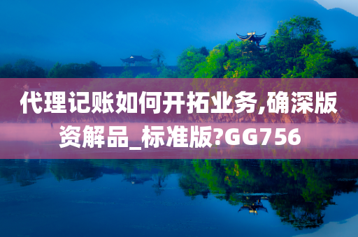 代理记账如何开拓业务,确深版资解品_标准版?GG756