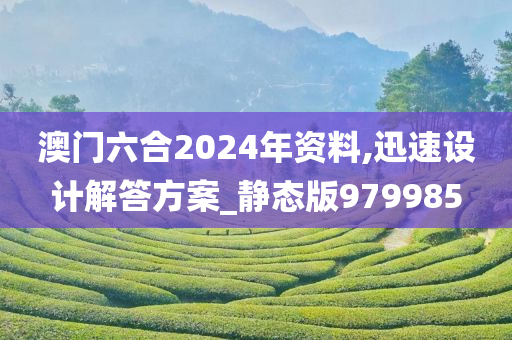 澳门六合2024年资料,迅速设计解答方案_静态版979985