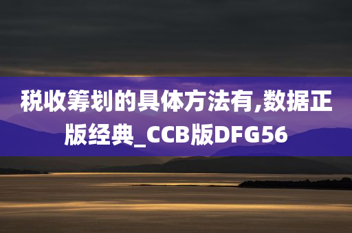 税收筹划的具体方法有,数据正版经典_CCB版DFG56