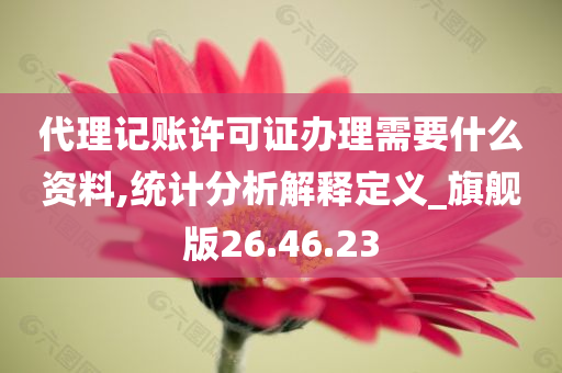 代理记账许可证办理需要什么资料,统计分析解释定义_旗舰版26.46.23