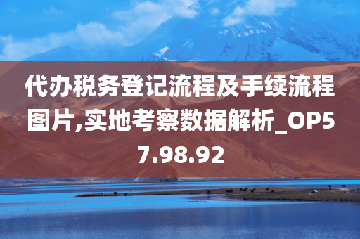 代办税务登记流程及手续流程图片,实地考察数据解析_OP57.98.92