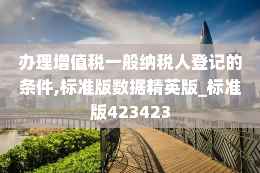 办理增值税一般纳税人登记的条件,标准版数据精英版_标准版423423