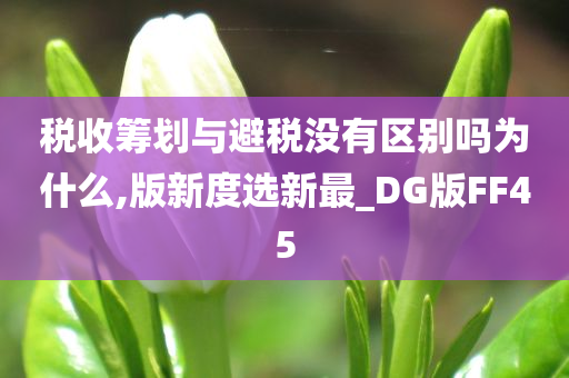 税收筹划与避税没有区别吗为什么,版新度选新最_DG版FF45