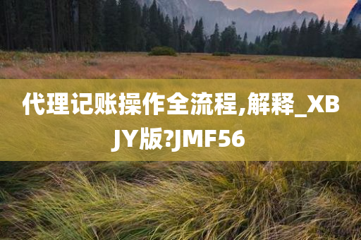 代理记账操作全流程,解释_XBJY版?JMF56