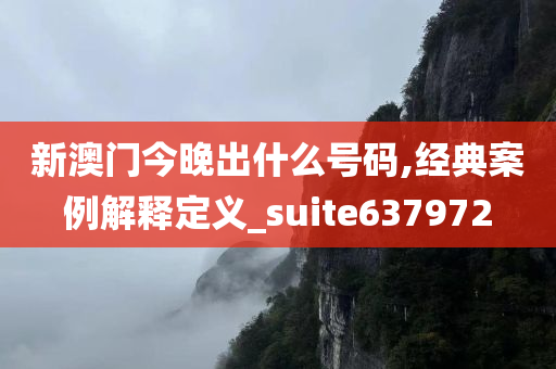 新澳门今晚出什么号码,经典案例解释定义_suite637972