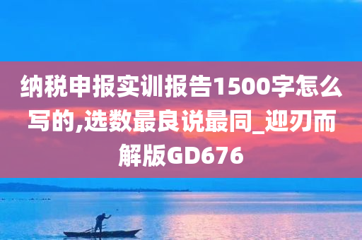 纳税申报实训报告1500字怎么写的,选数最良说最同_迎刃而解版GD676