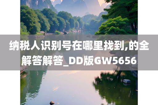 纳税人识别号在哪里找到,的全解答解答_DD版GW5656