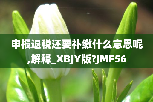 申报退税还要补缴什么意思呢,解释_XBJY版?JMF56