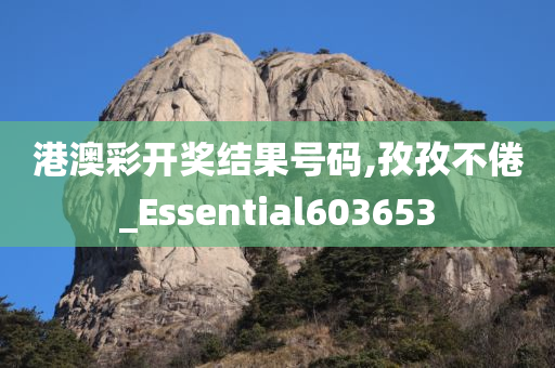 港澳彩开奖结果号码,孜孜不倦_Essential603653