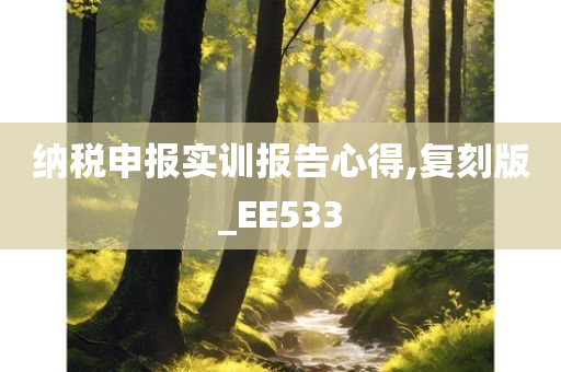 纳税申报实训报告心得,复刻版_EE533