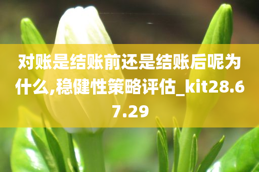 对账是结账前还是结账后呢为什么,稳健性策略评估_kit28.67.29