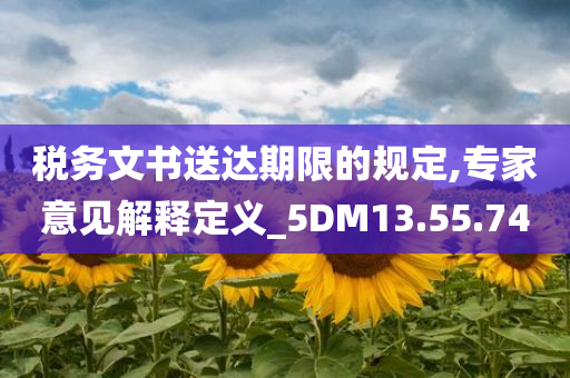 税务文书送达期限的规定,专家意见解释定义_5DM13.55.74