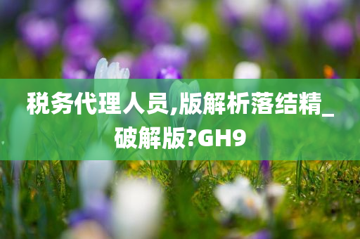 税务代理人员,版解析落结精_破解版?GH9