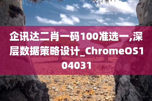 企讯达二肖一码100准选一,深层数据策略设计_ChromeOS104031