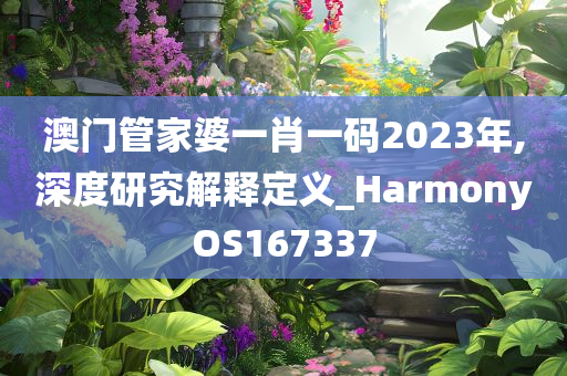 澳门管家婆一肖一码2023年,深度研究解释定义_HarmonyOS167337