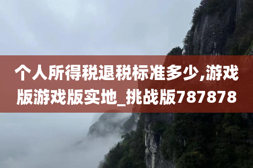 个人所得税退税标准多少,游戏版游戏版实地_挑战版787878