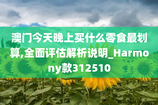 澳门今天晚上买什么零食最划算,全面评估解析说明_Harmony款312510