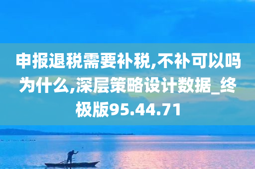 申报退税需要补税,不补可以吗为什么,深层策略设计数据_终极版95.44.71