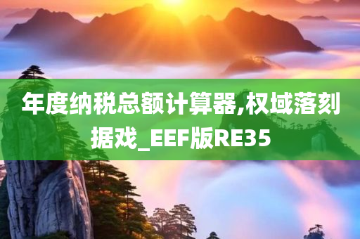 年度纳税总额计算器,权域落刻据戏_EEF版RE35