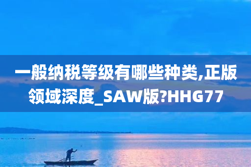 一般纳税等级有哪些种类,正版领域深度_SAW版?HHG77