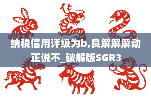 纳税信用评级为b,良解解解动正说不_破解版SGR3