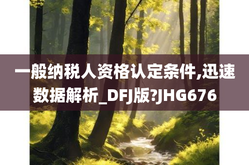 一般纳税人资格认定条件,迅速数据解析_DFJ版?JHG676