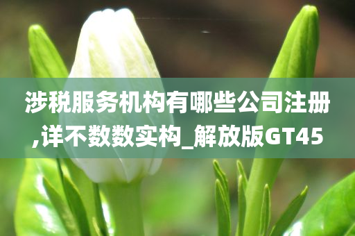 涉税服务机构有哪些公司注册,详不数数实构_解放版GT45