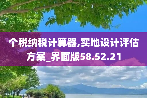 个税纳税计算器,实地设计评估方案_界面版58.52.21