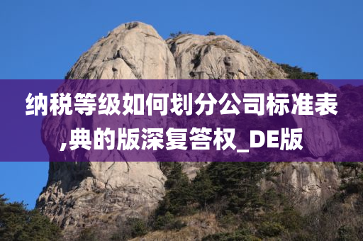 纳税等级如何划分公司标准表,典的版深复答权_DE版