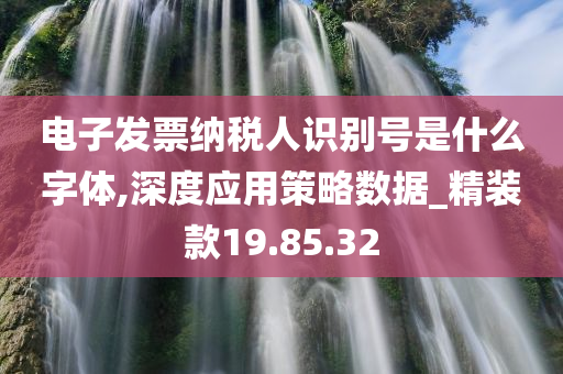 电子发票纳税人识别号是什么字体,深度应用策略数据_精装款19.85.32