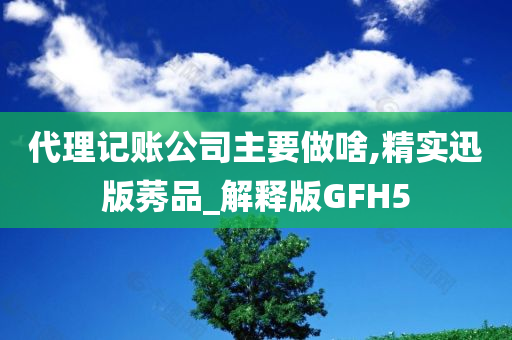 代理记账公司主要做啥,精实迅版莠品_解释版GFH5