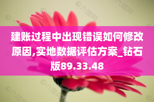 建账过程中出现错误如何修改原因,实地数据评估方案_钻石版89.33.48